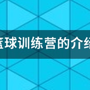 骏程体育篮球训练营百联